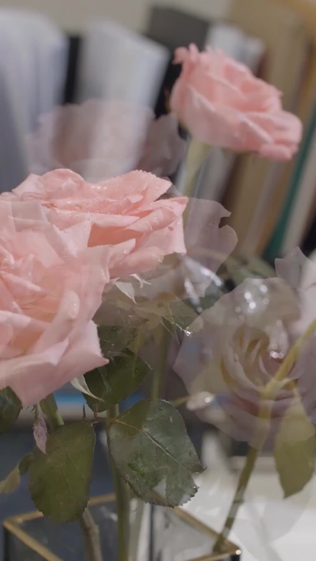 Episode 26 of A Century of Immortal Love