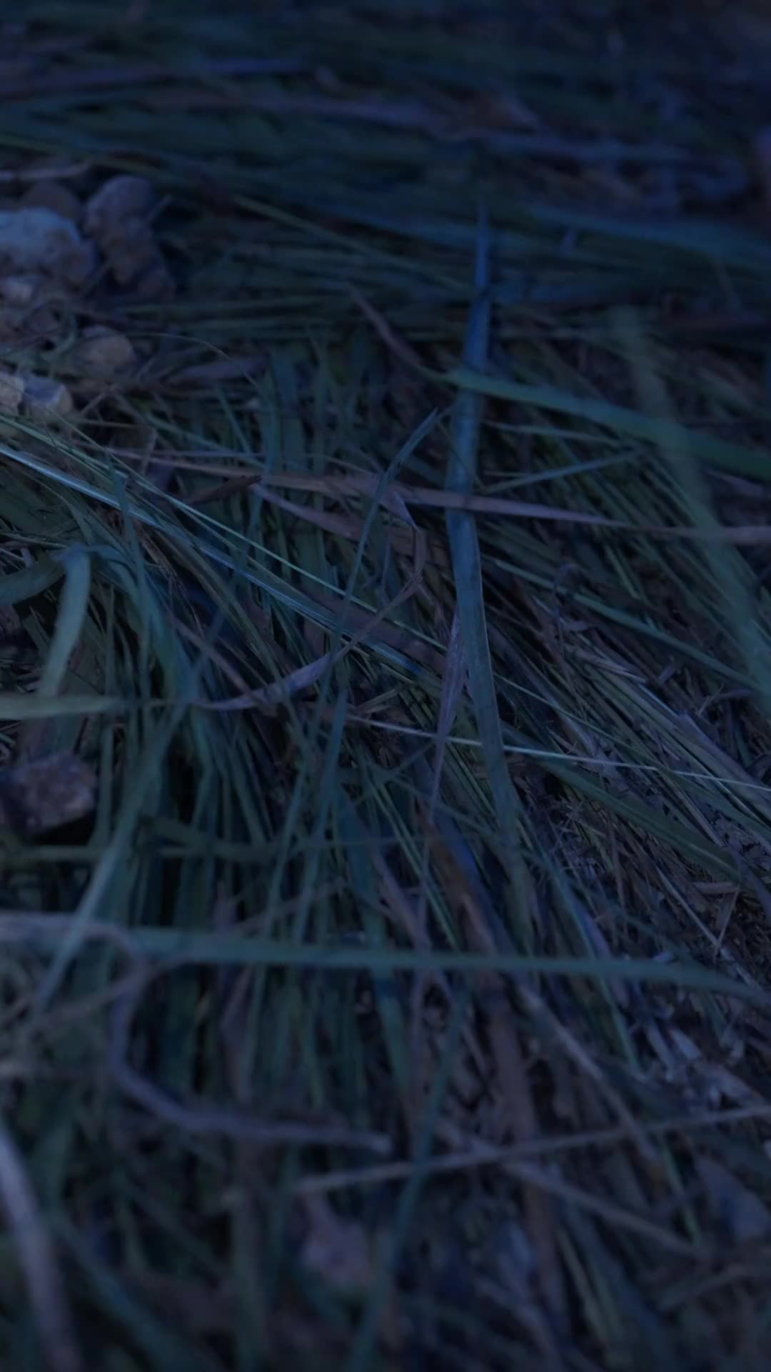 Episode 15 of a fortune lost will always return