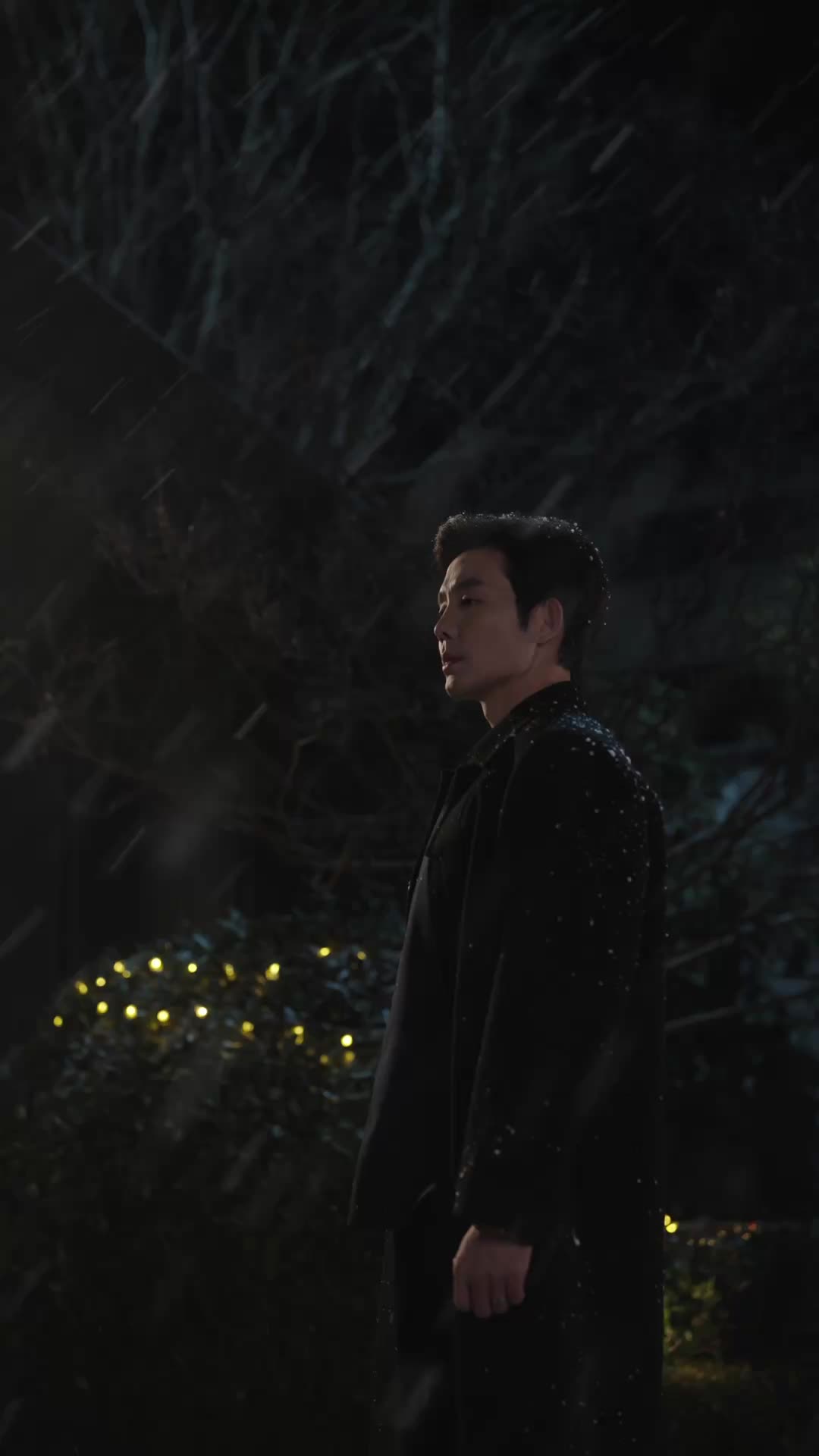 Episode 13 of A Rose Across the Years