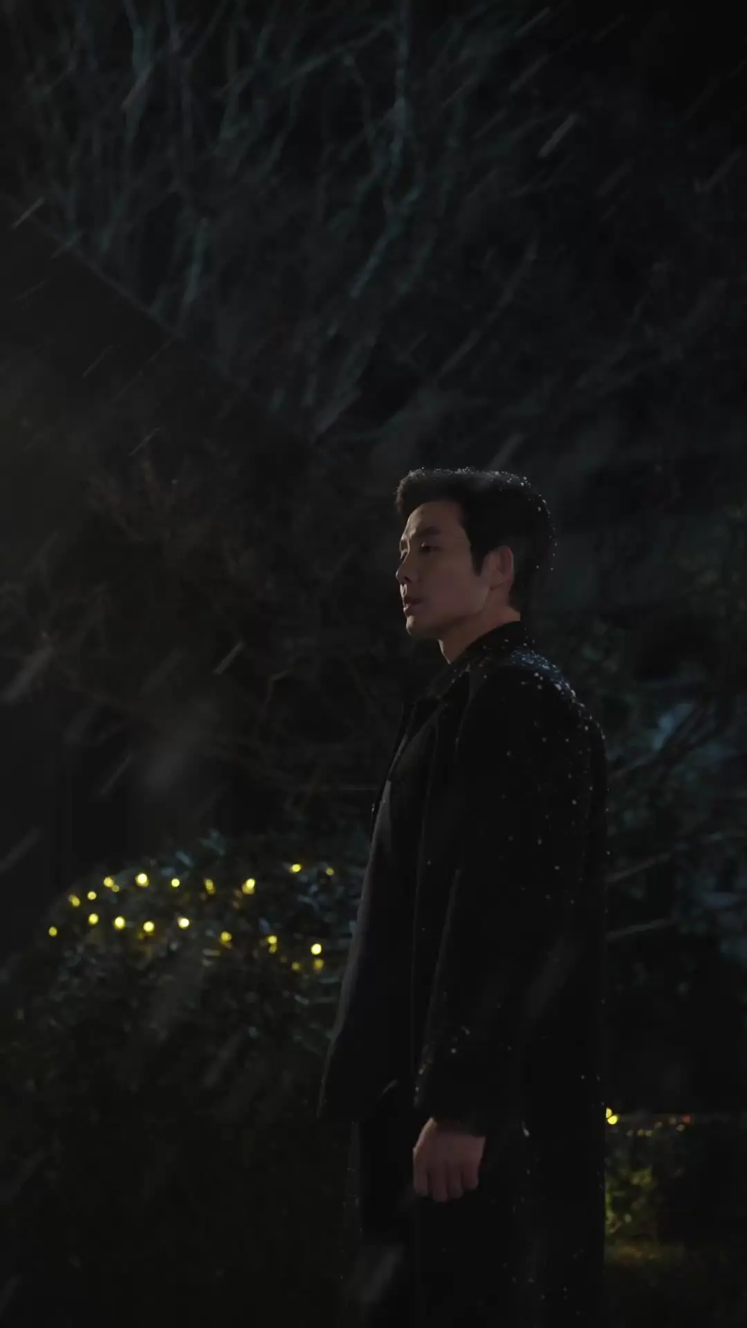 Episode 13 of A Rose Across the Years