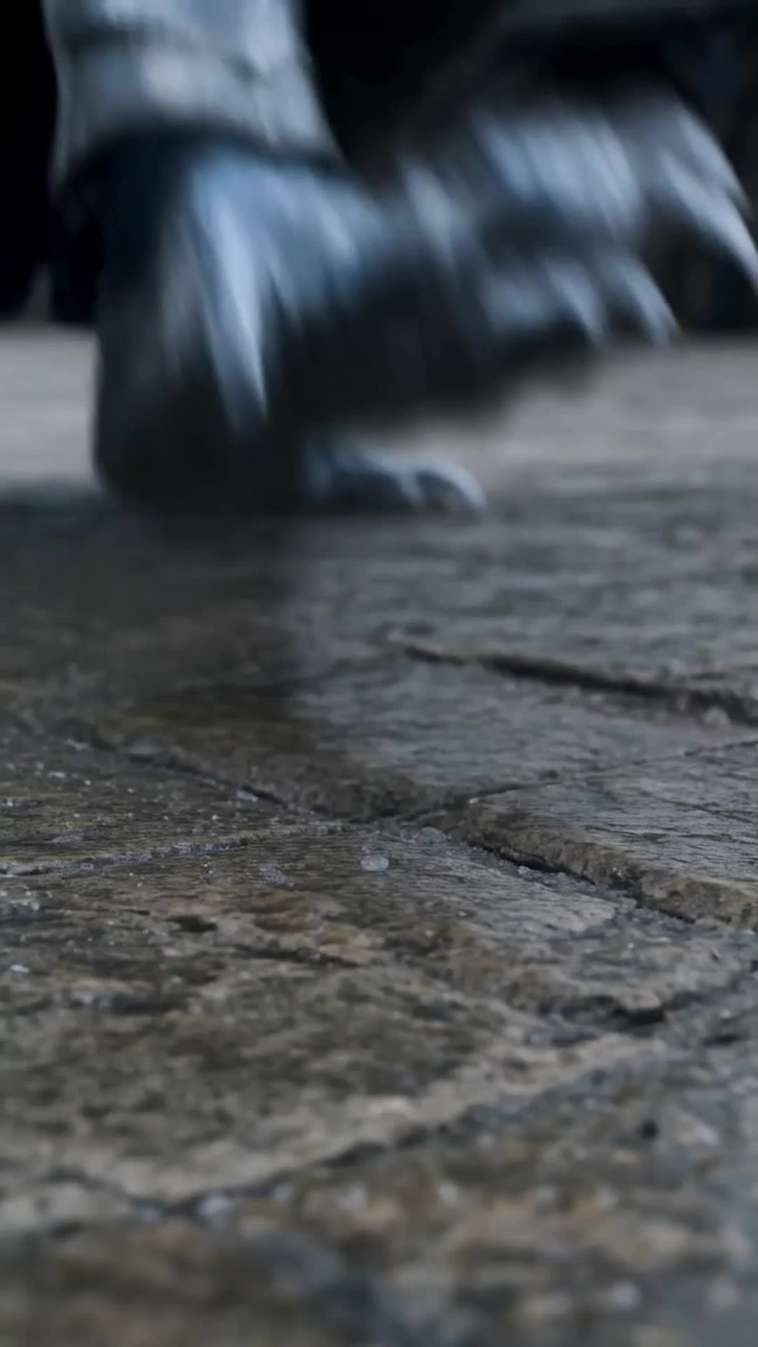 Episode 2 of Abandoned Dragon, Ascendant Queen