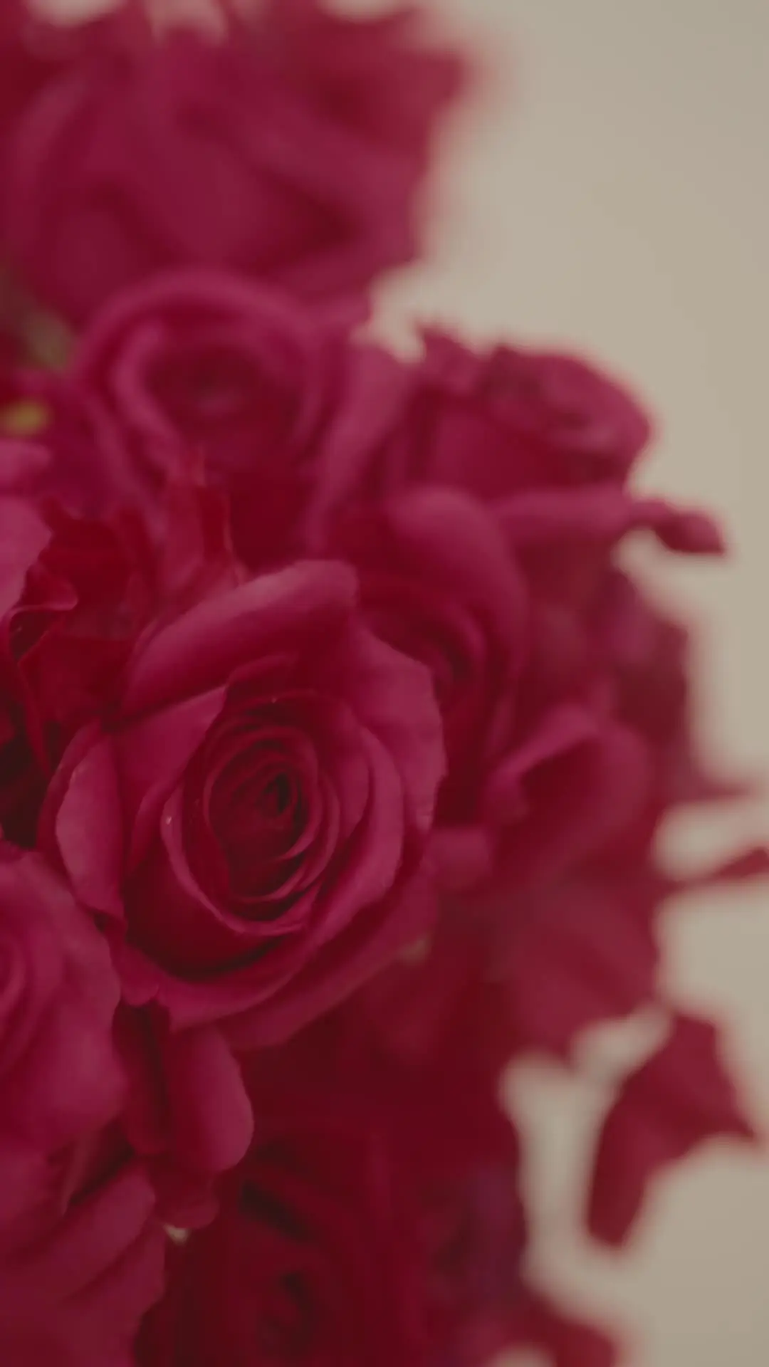 Episode 57 of Accelerating Love