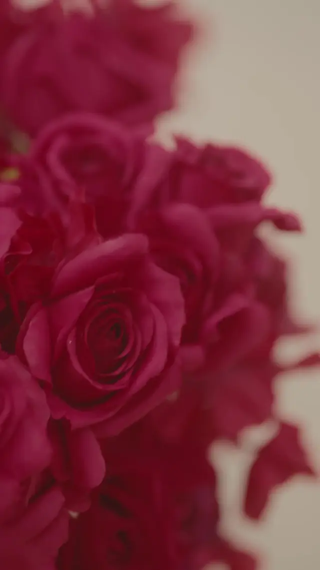 Episode 57 of Accelerating Love