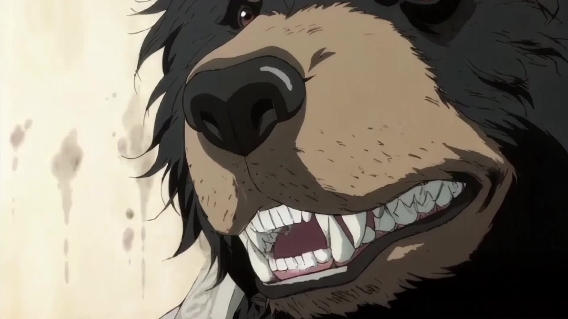 Episode 33 of All Animals Are His Students