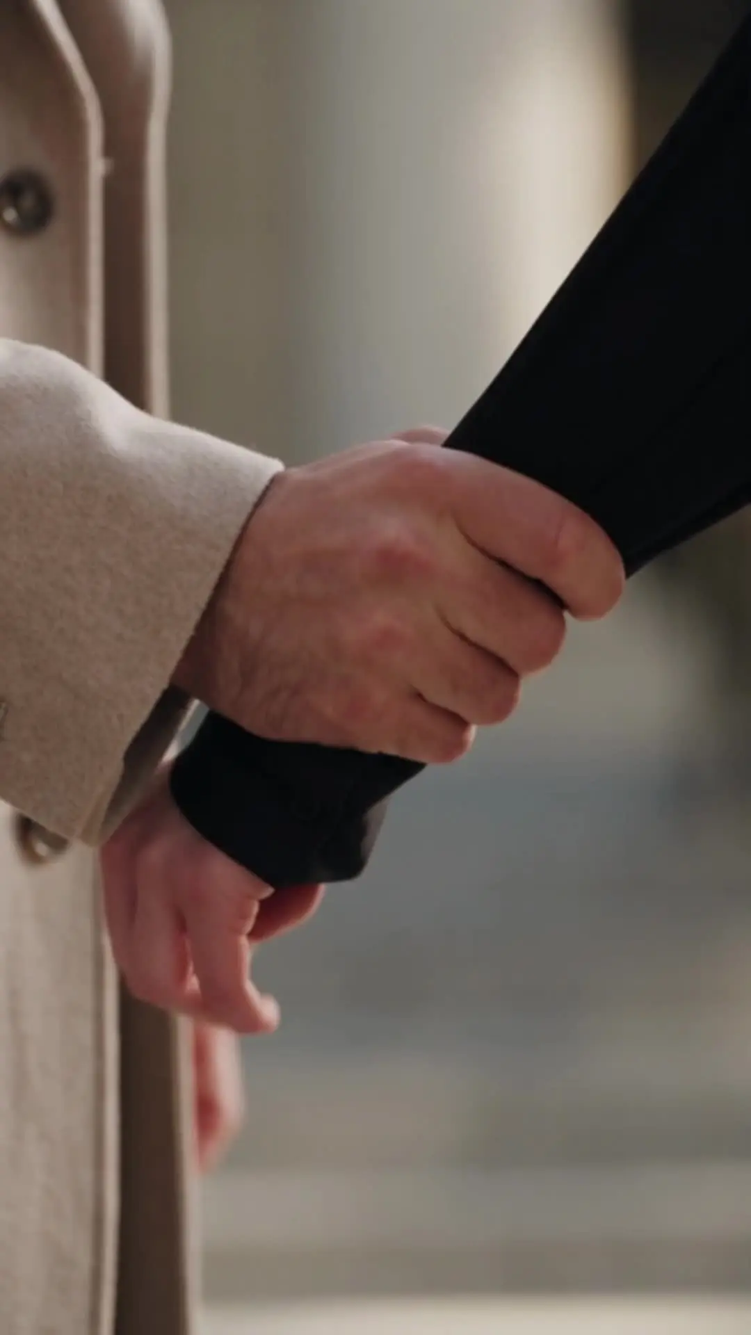 Episode 12 of Ashes of Two Marriages