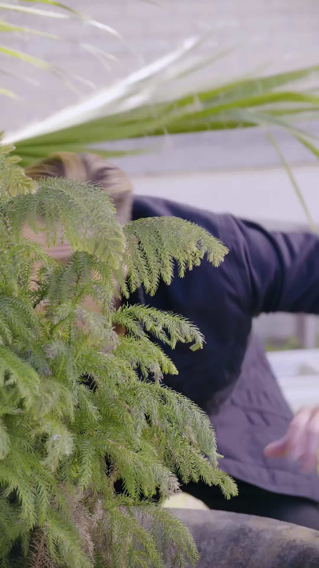 Episode 56 of Audrey in Full Bloom
