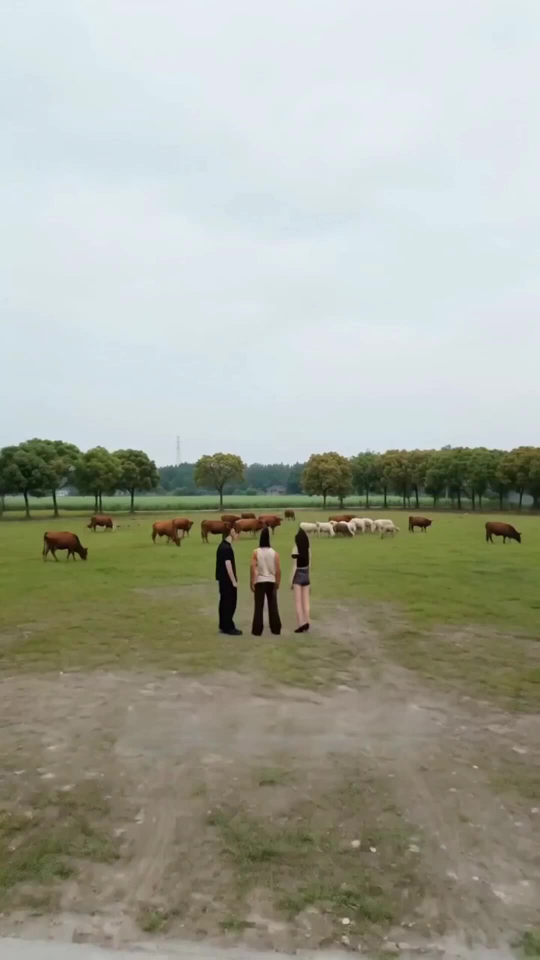 Episode 33 of Betrayal. Beef. Billions.