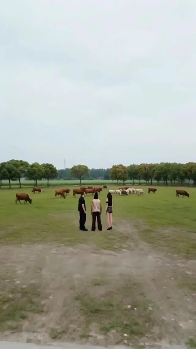 Episode 33 of Betrayal. Beef. Billions.