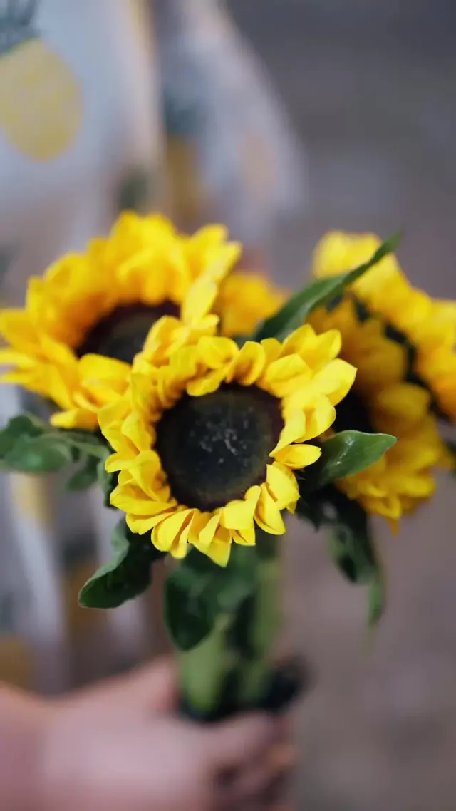 Episode 1 of Born to Heal, Built to Reveal