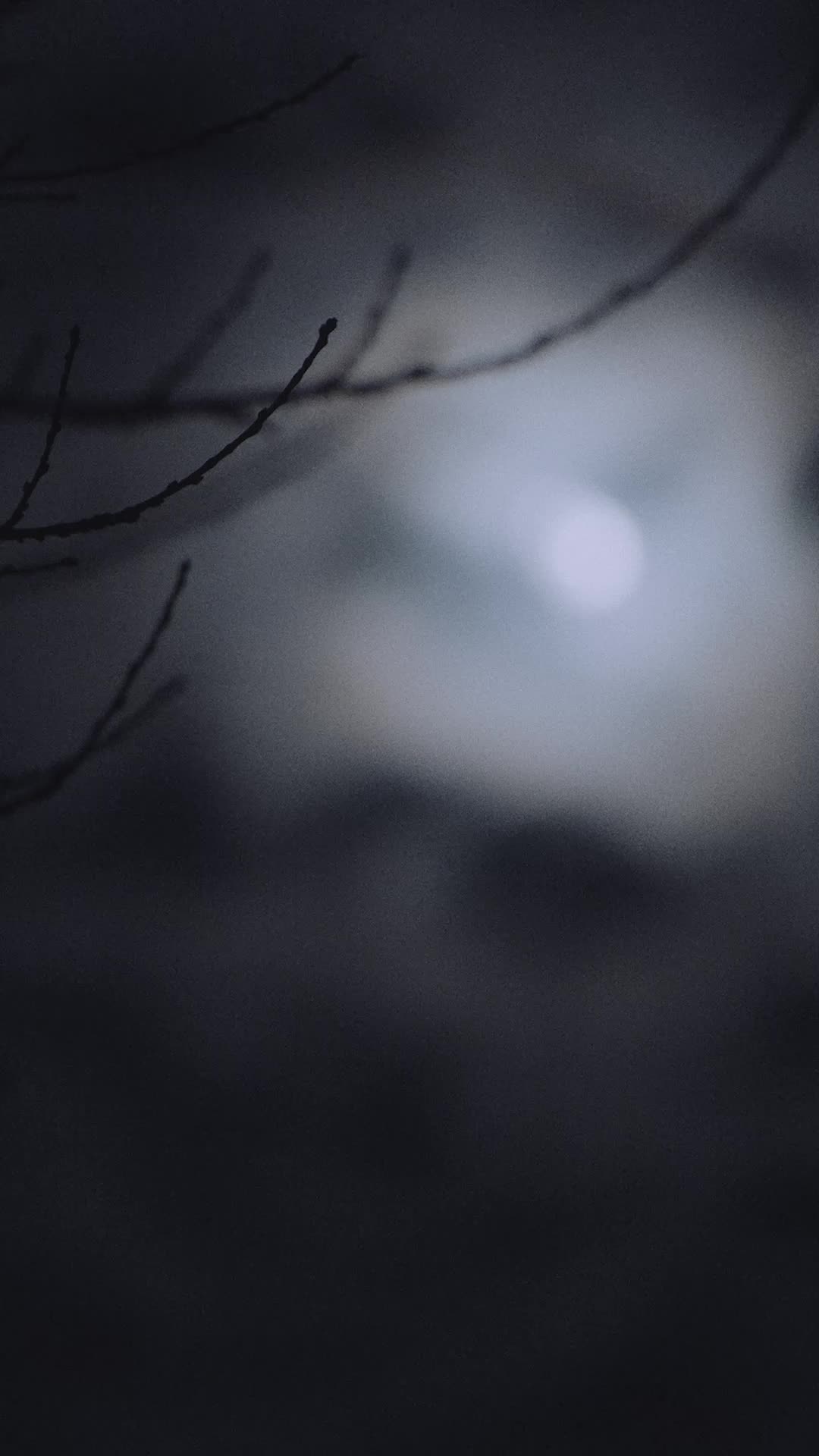 Episode 22 of Bound to the Rebel Wolf