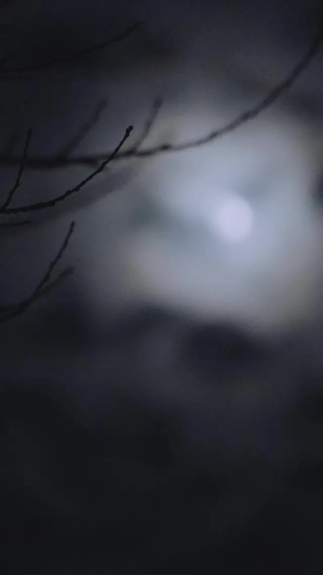 Episode 22 of Bound to the Rebel Wolf