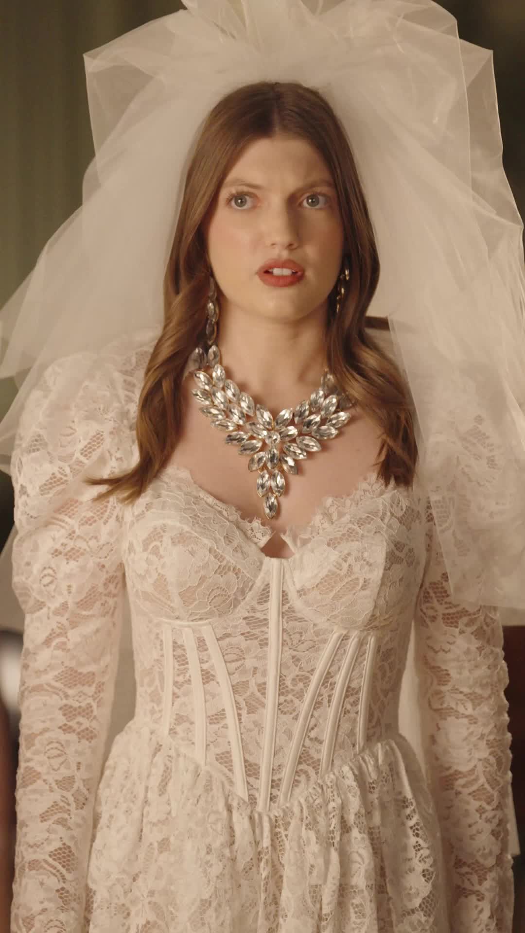 Episode 35 of Bridezilla, Never Provoke The Billionaire Mother