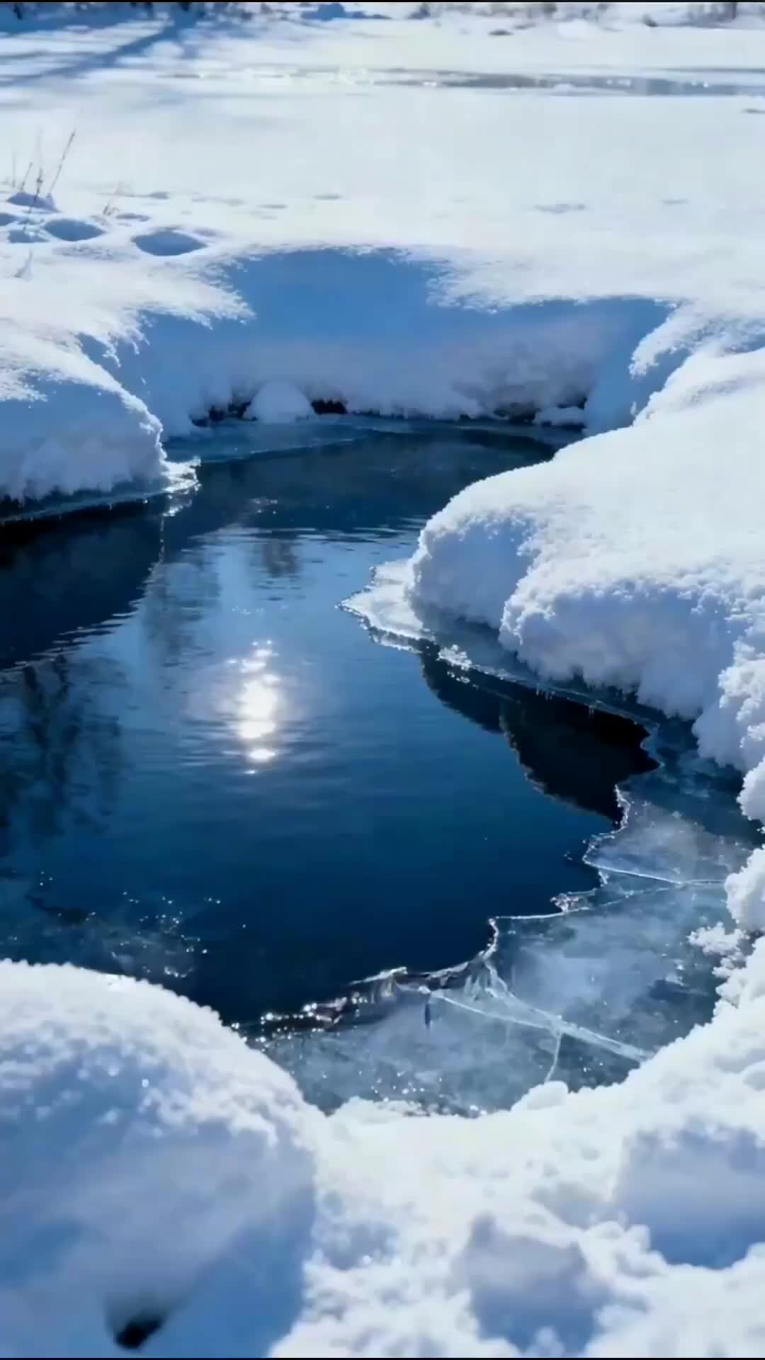 Episode 17 of Cold Blood, Hot Revenge