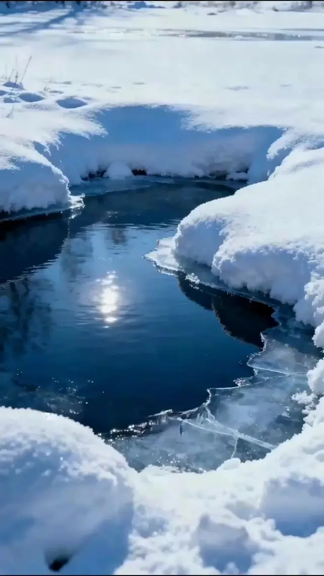 Episode 17 of Cold Blood, Hot Revenge