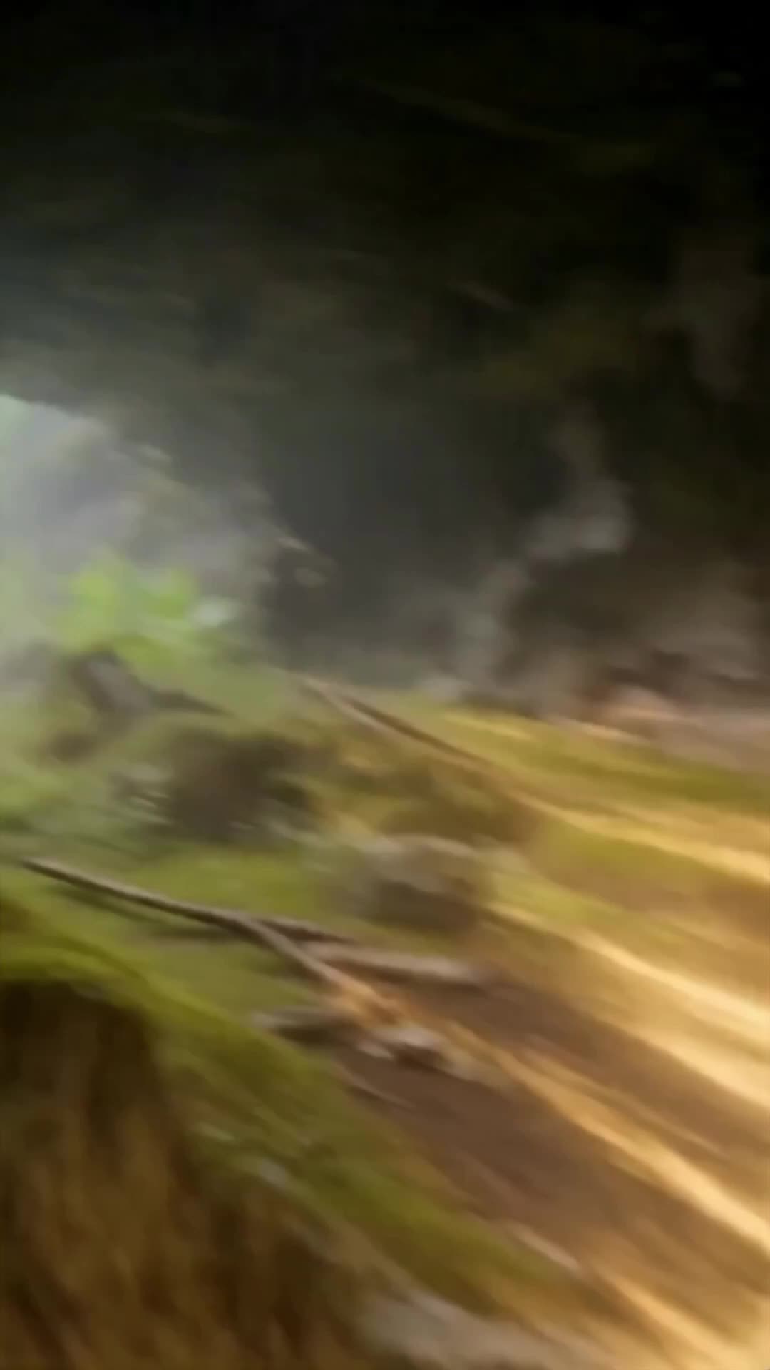 Episode 9 of Crashed into the Beast Realm, Claimed by the Serpent King