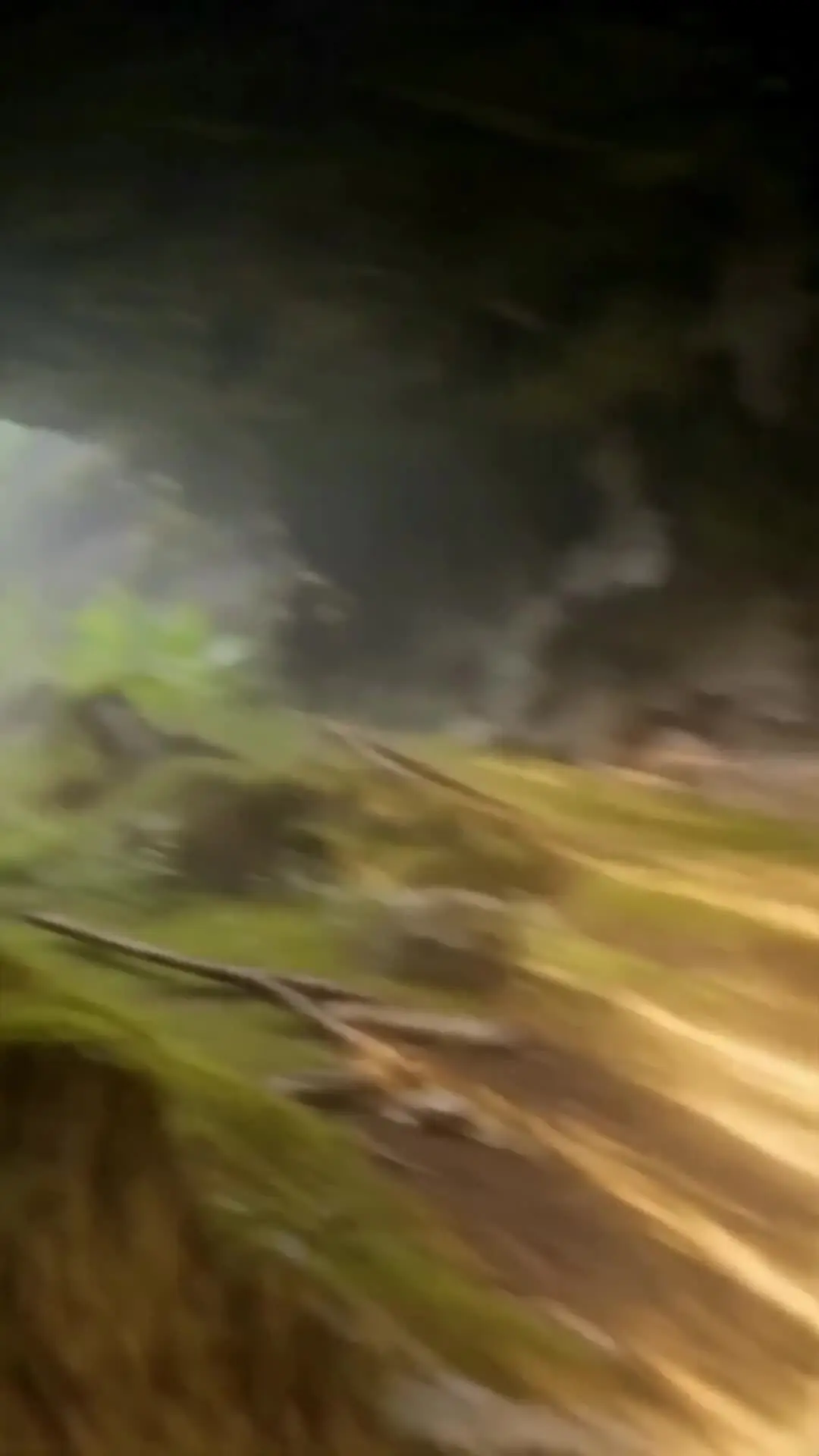 Episode 9 of Crashed into the Beast Realm, Claimed by the Serpent King