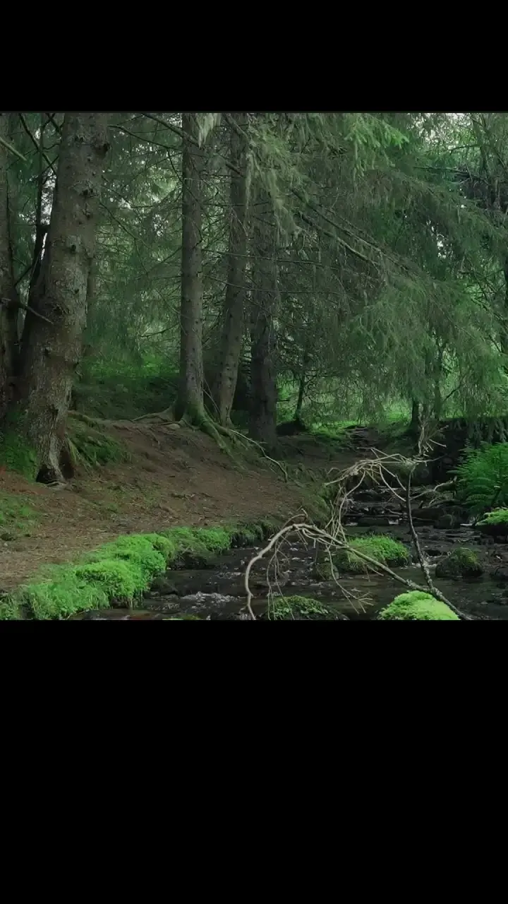 Episode 3 of Dagger Kiss: Enchanted Forest