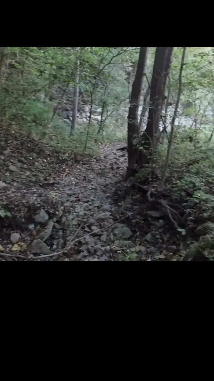 Episode 5 of Dagger Kiss: Enchanted Forest