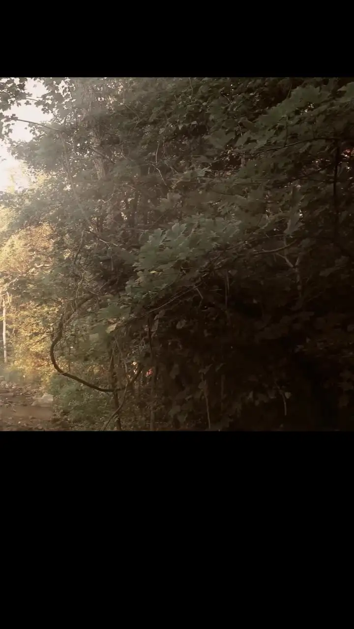 Episode 6 of Dagger Kiss: Enchanted Forest