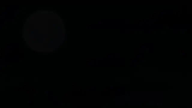 Episode 2 of Died Coding, Came Back Cheating