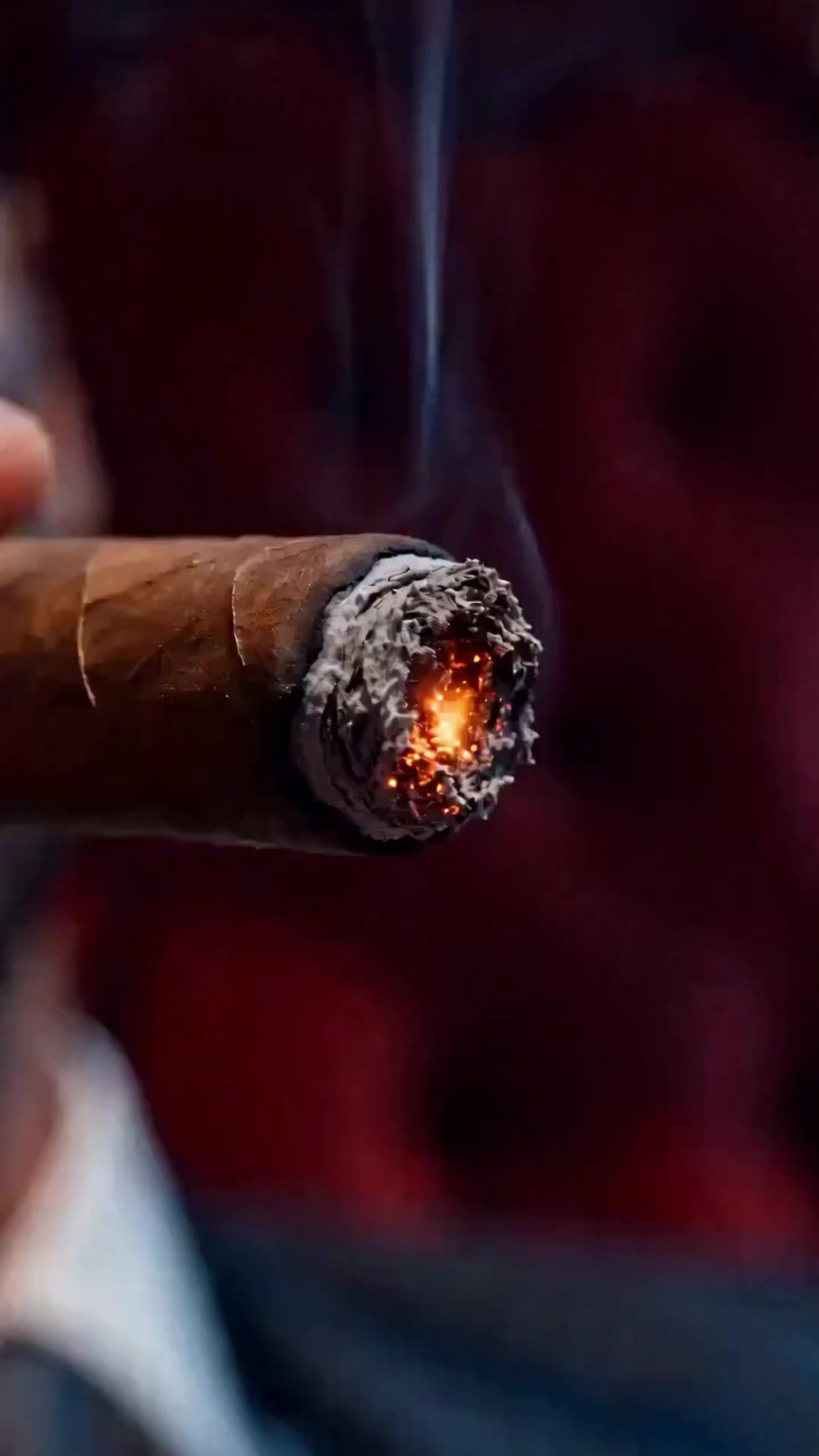 Episode 10 of Disciplined by My Mafia Master