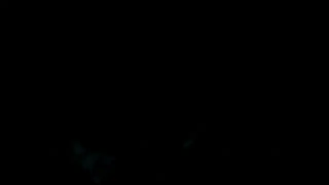 Episode 5 of Don't Touch My Phoenix