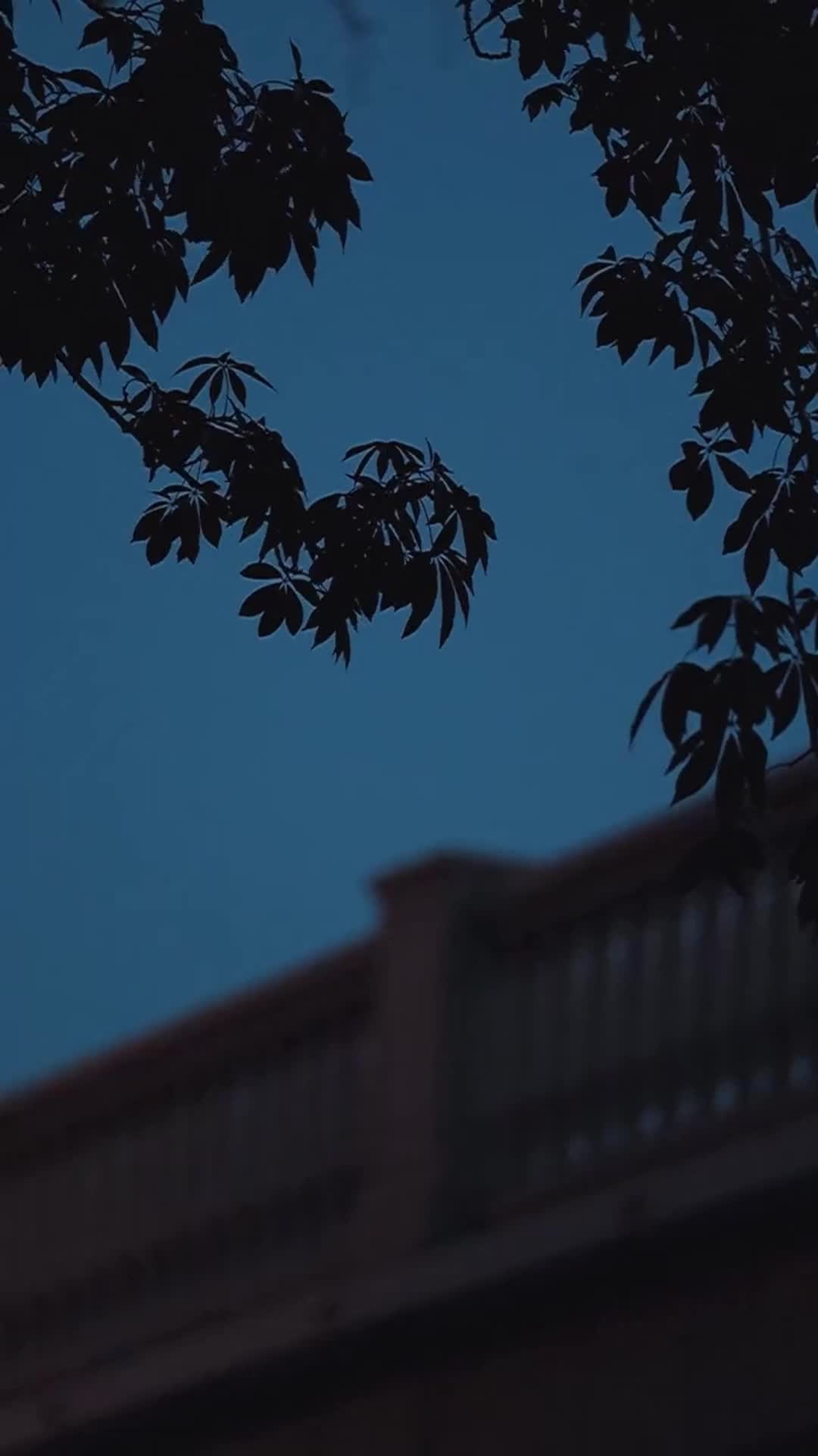Episode 5 of DRAMA IN HD