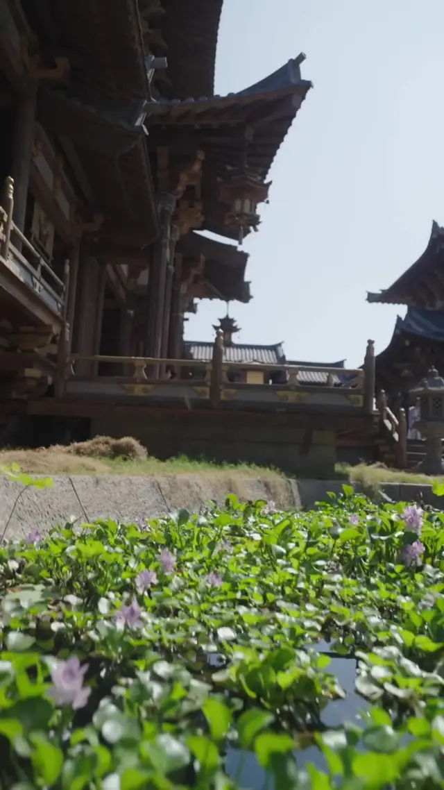 Episode 45 of Eternal Dragon Emperor