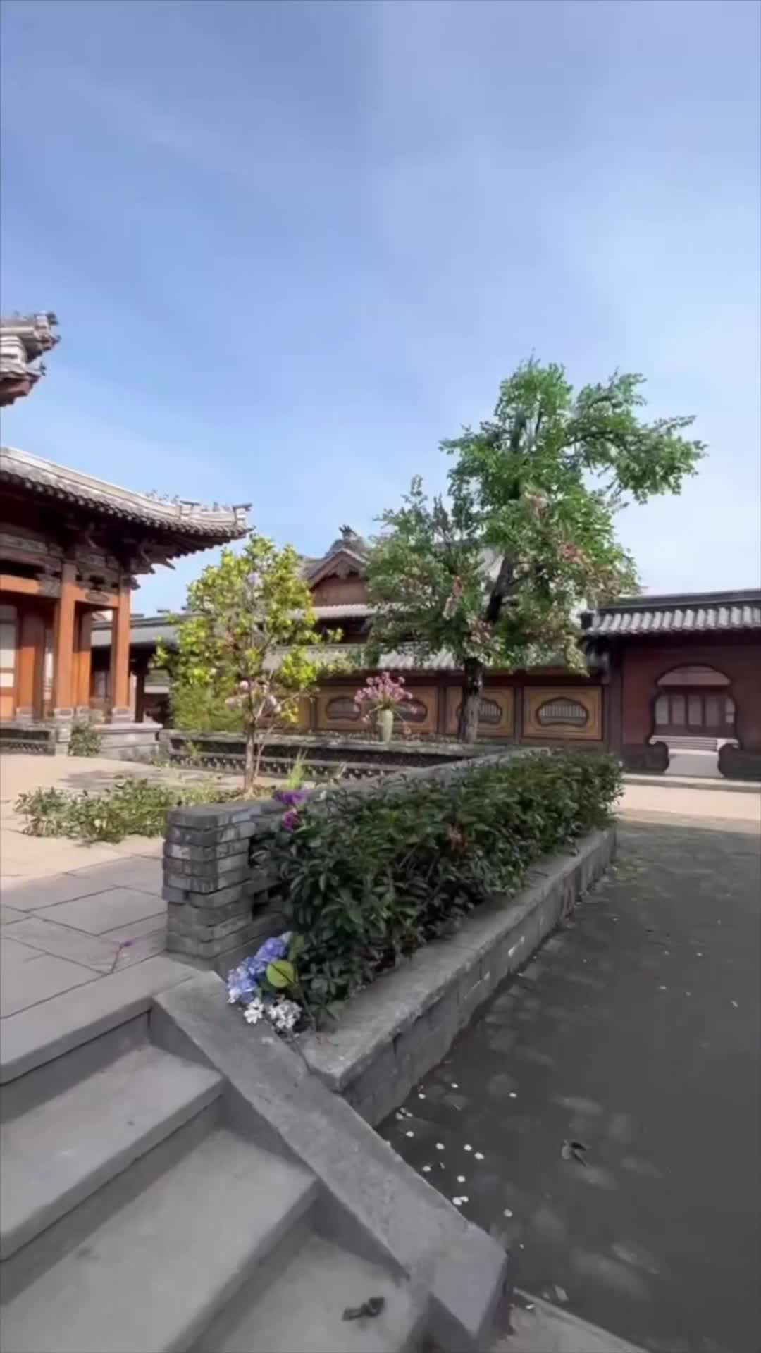 Episode 91 of Eternal Dragon Emperor