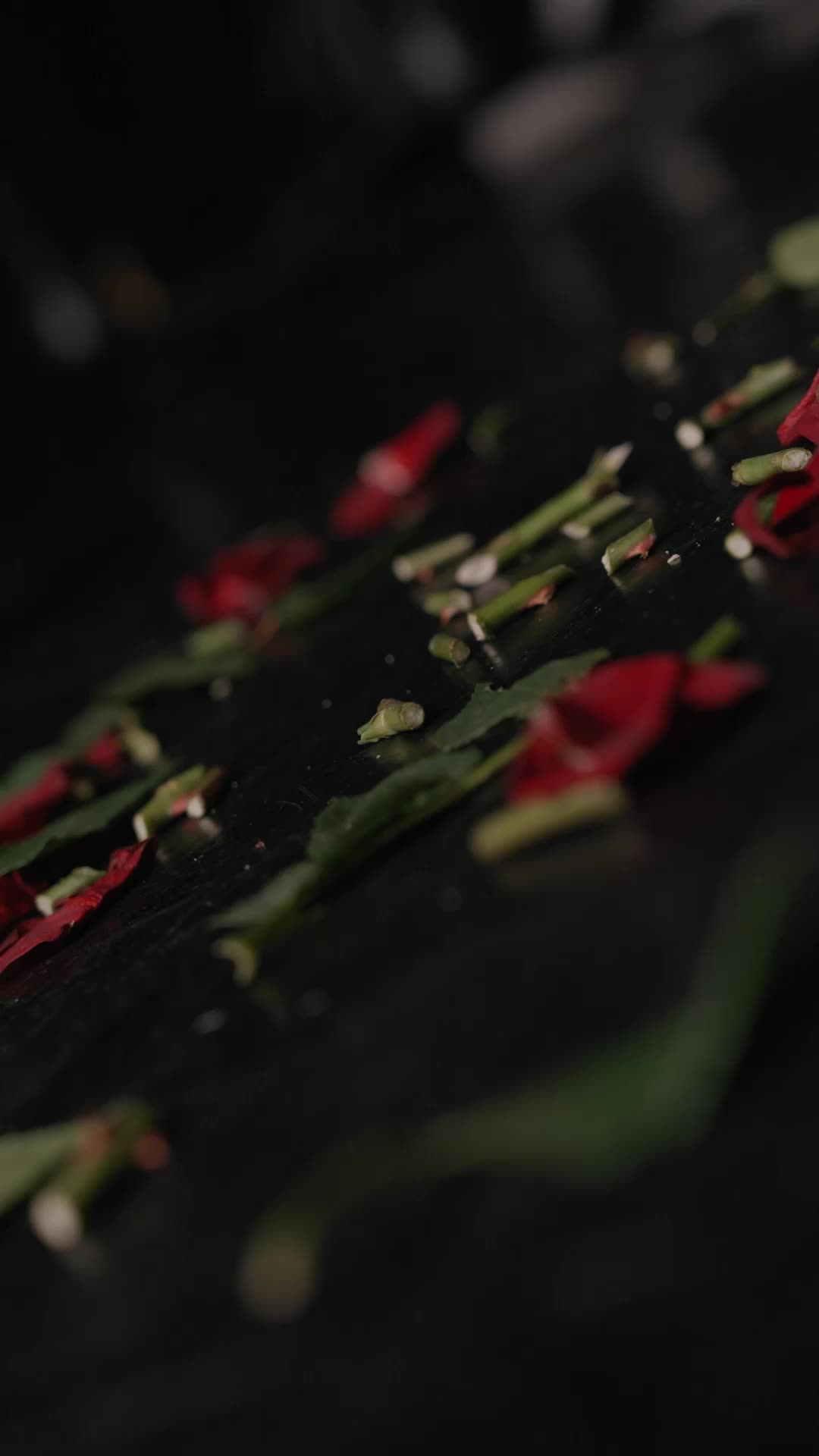 Episode 17 of Fatal Attraction: A Dark Mafia Romance