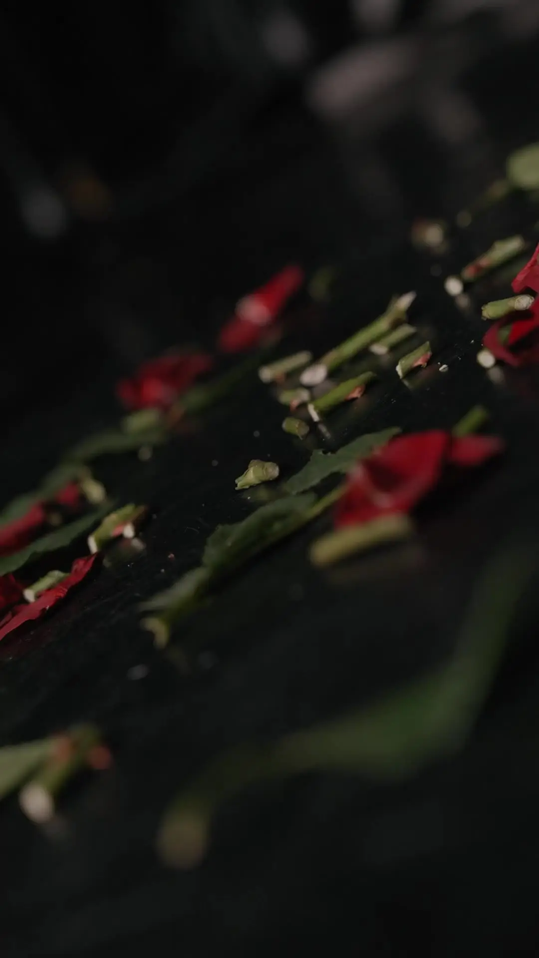 Episode 17 of Fatal Attraction: A Dark Mafia Romance