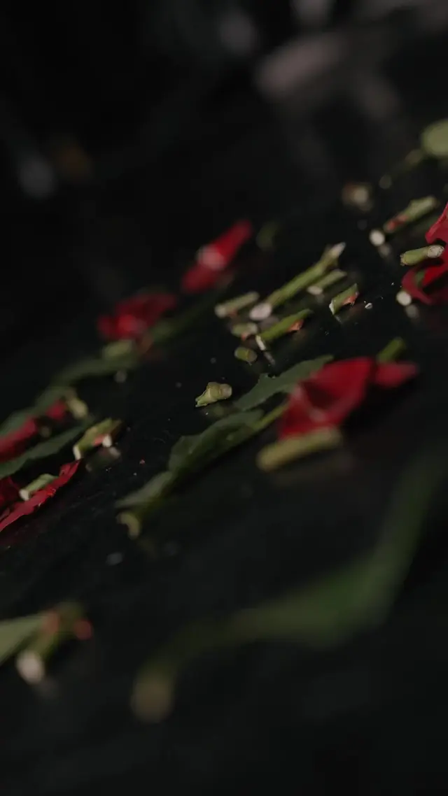 Episode 17 of Fatal Attraction: A Dark Mafia Romance