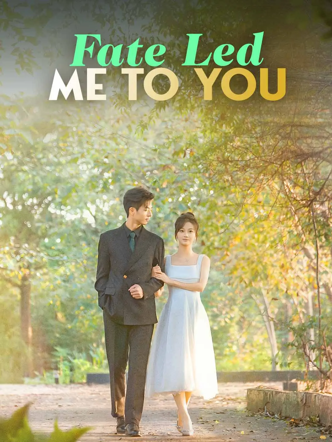 Cover of the miniseries Fate Led Me to You