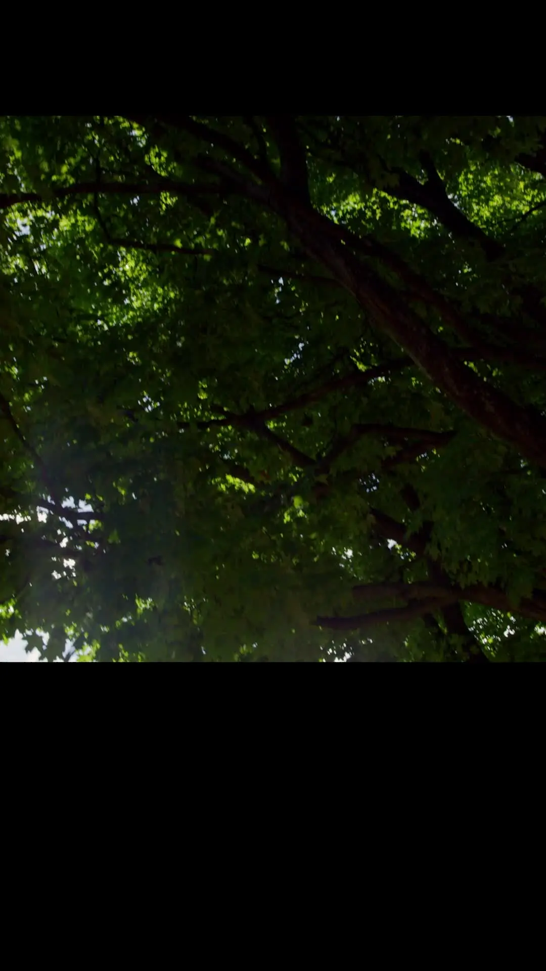 Episode 20 of Forest Fairies