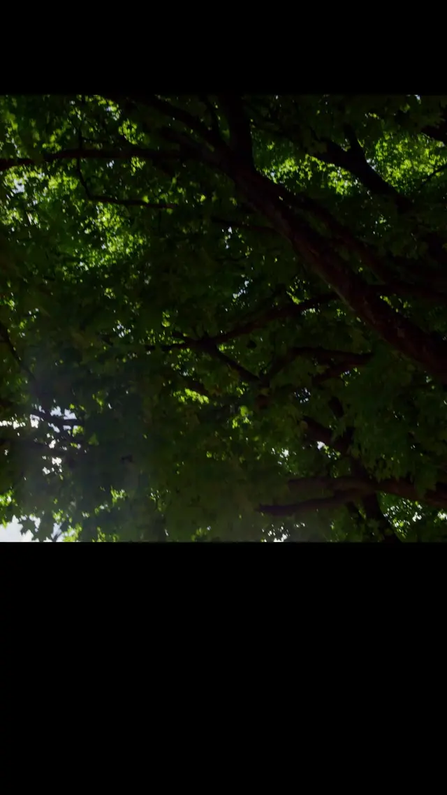 Episode 20 of Forest Fairies