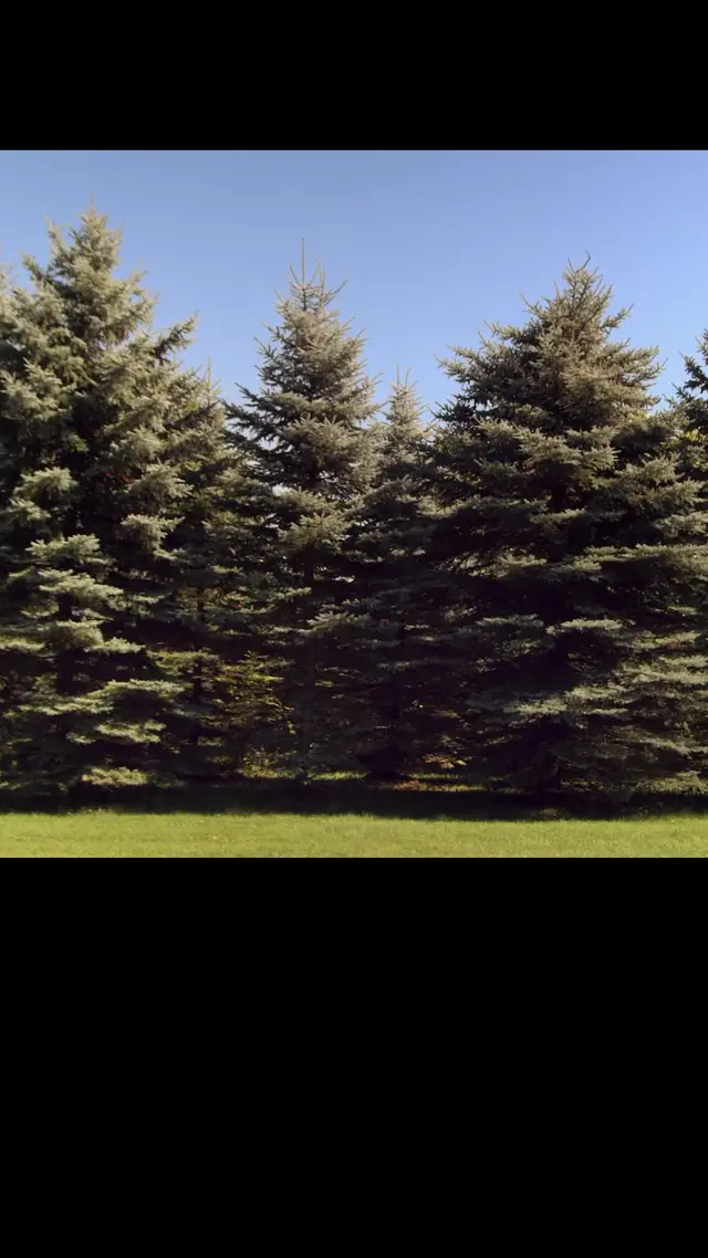 Episode 3 of Forest Fairies