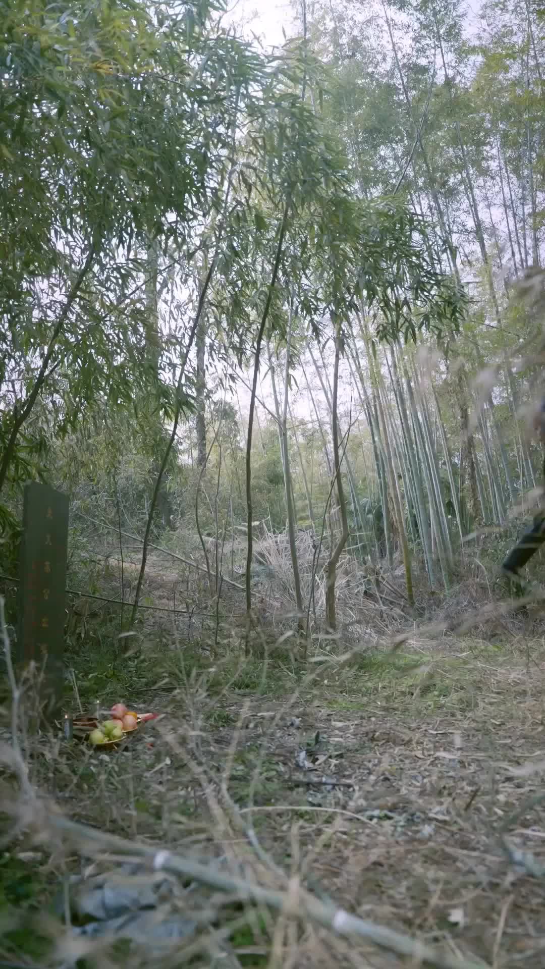 Episode 28 of From Ex-Con to Cultivator