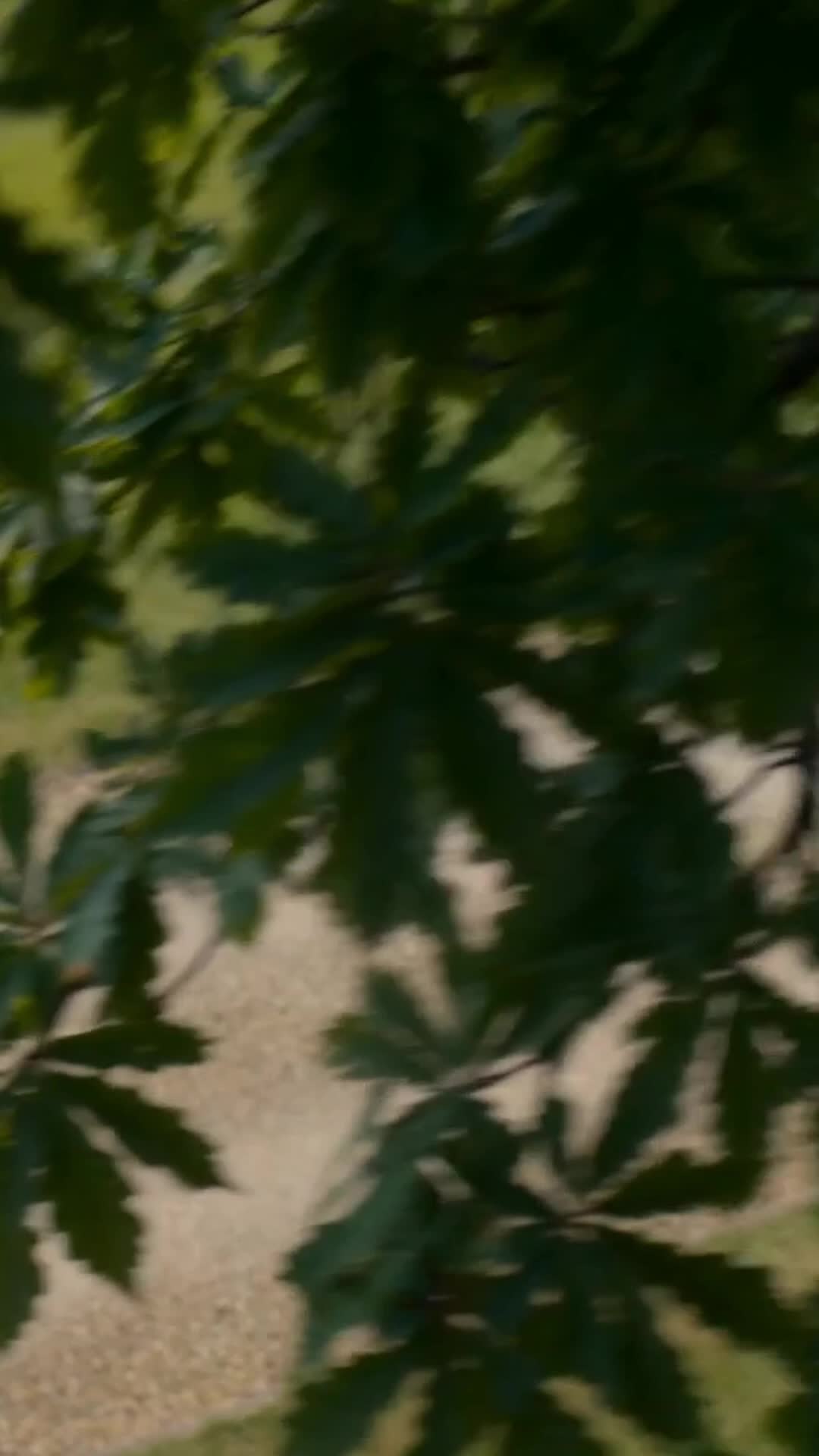 Episode 19 of From Prison to Palace_ Revenge of the Mad Queen