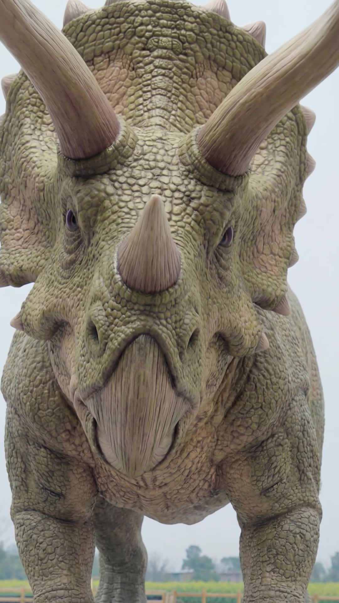 Episode 5 of Geez! I Have a Dinosaur Park!