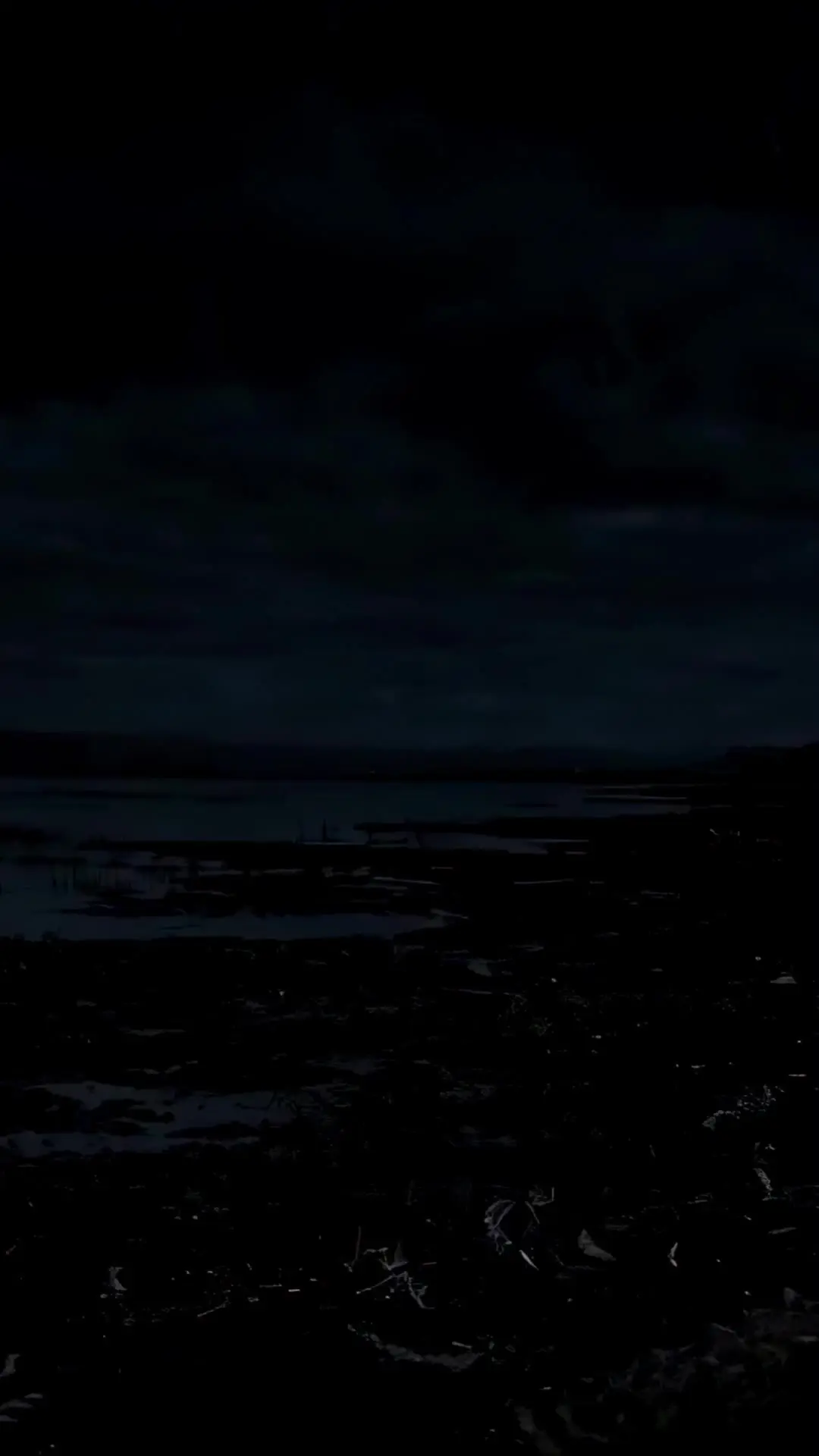 Episode 49 of Giant Croc Attack