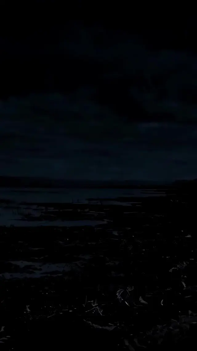 Episode 49 of Giant Croc Attack