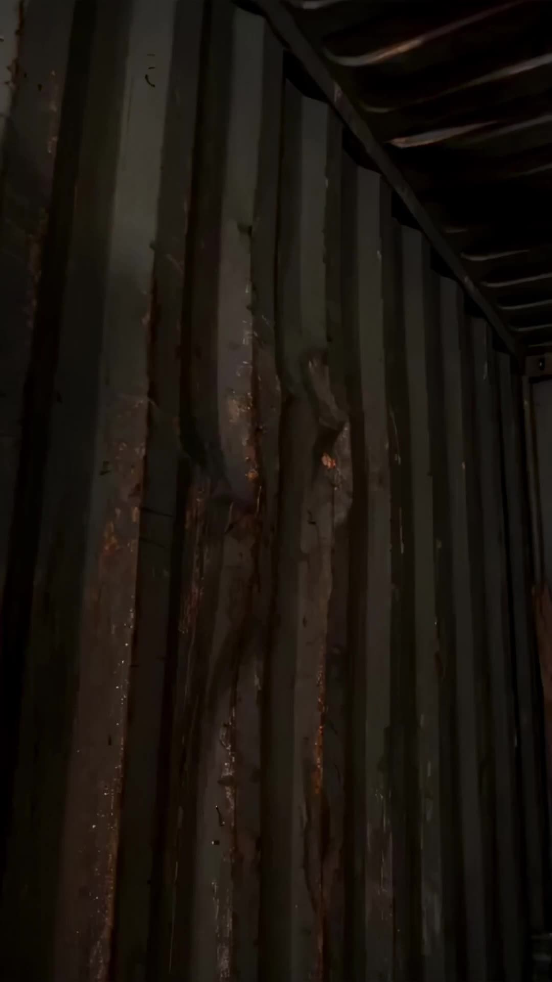 Episode 50 of Giant Croc Attack