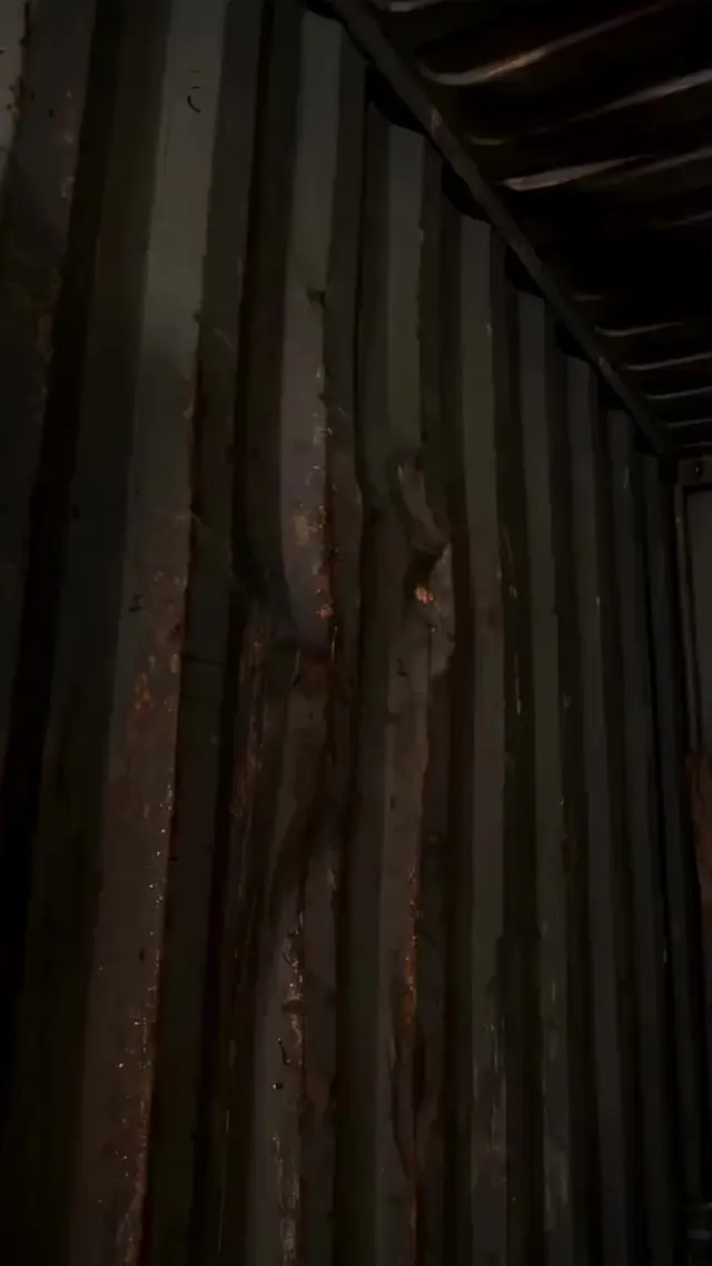 Episode 50 of Giant Croc Attack