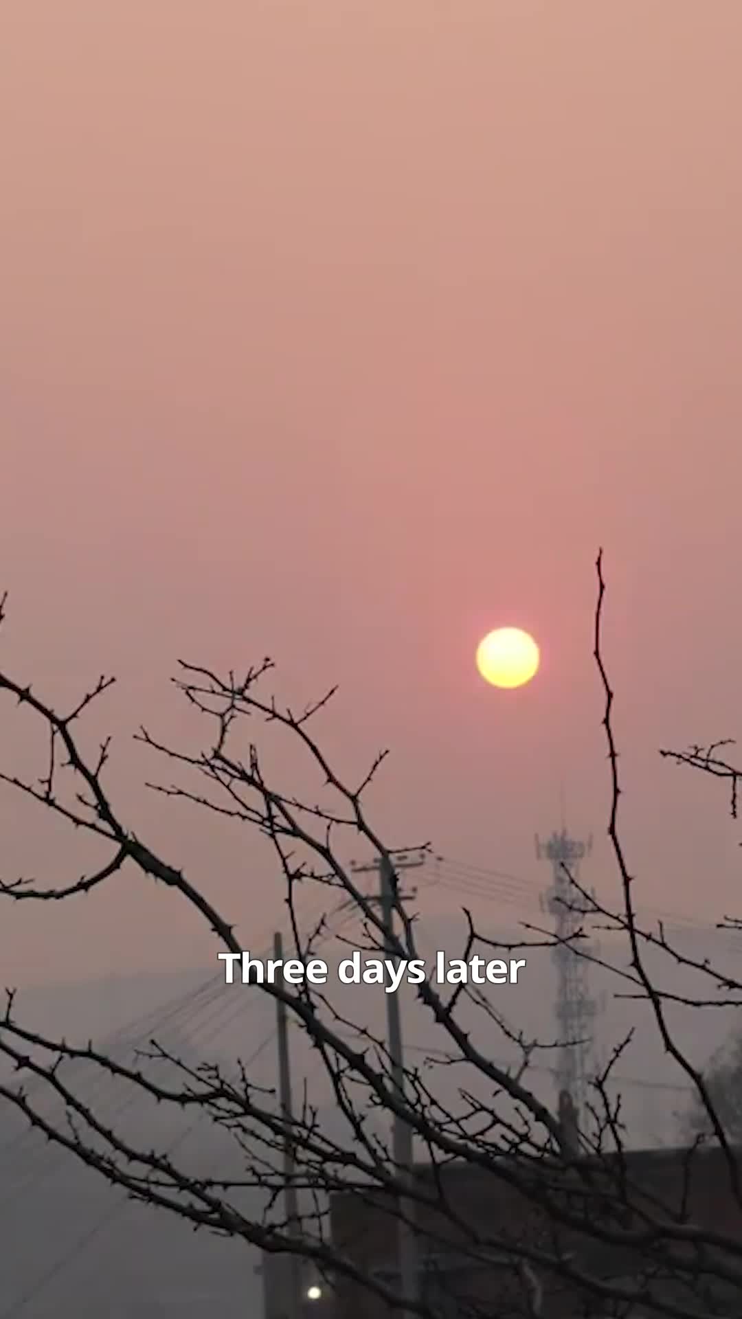 Episode 25 of Goodbye, My Yesterday