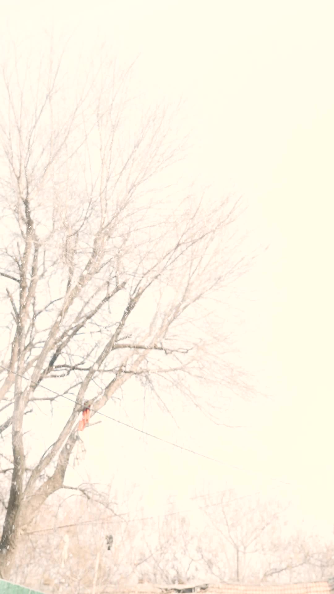 Episode 5 of Goodbye, My Yesterday