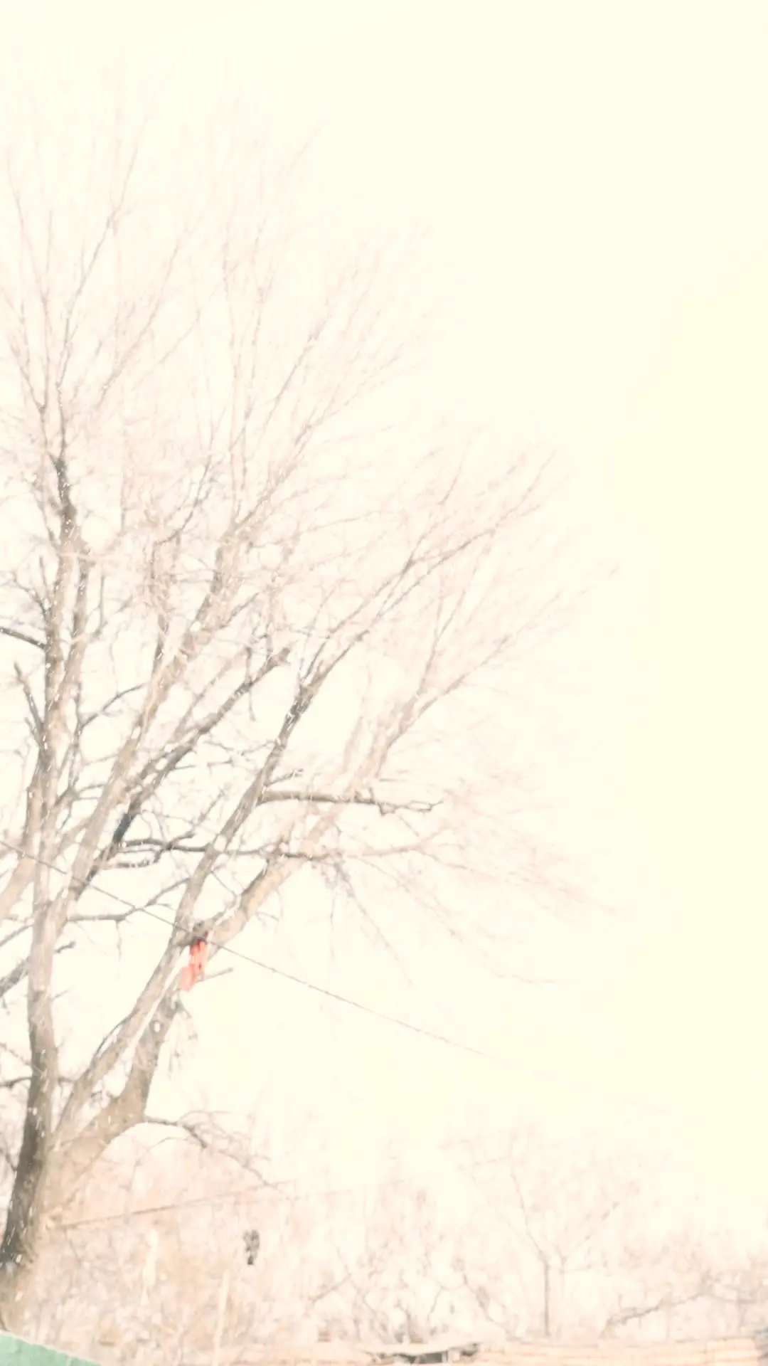 Episode 5 of Goodbye, My Yesterday