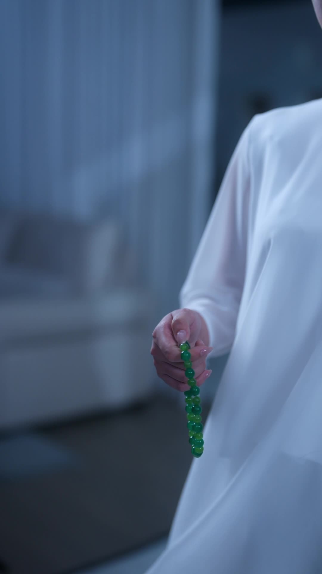 Episode 12 of Great-Grandma is the Supreme Cultivator
