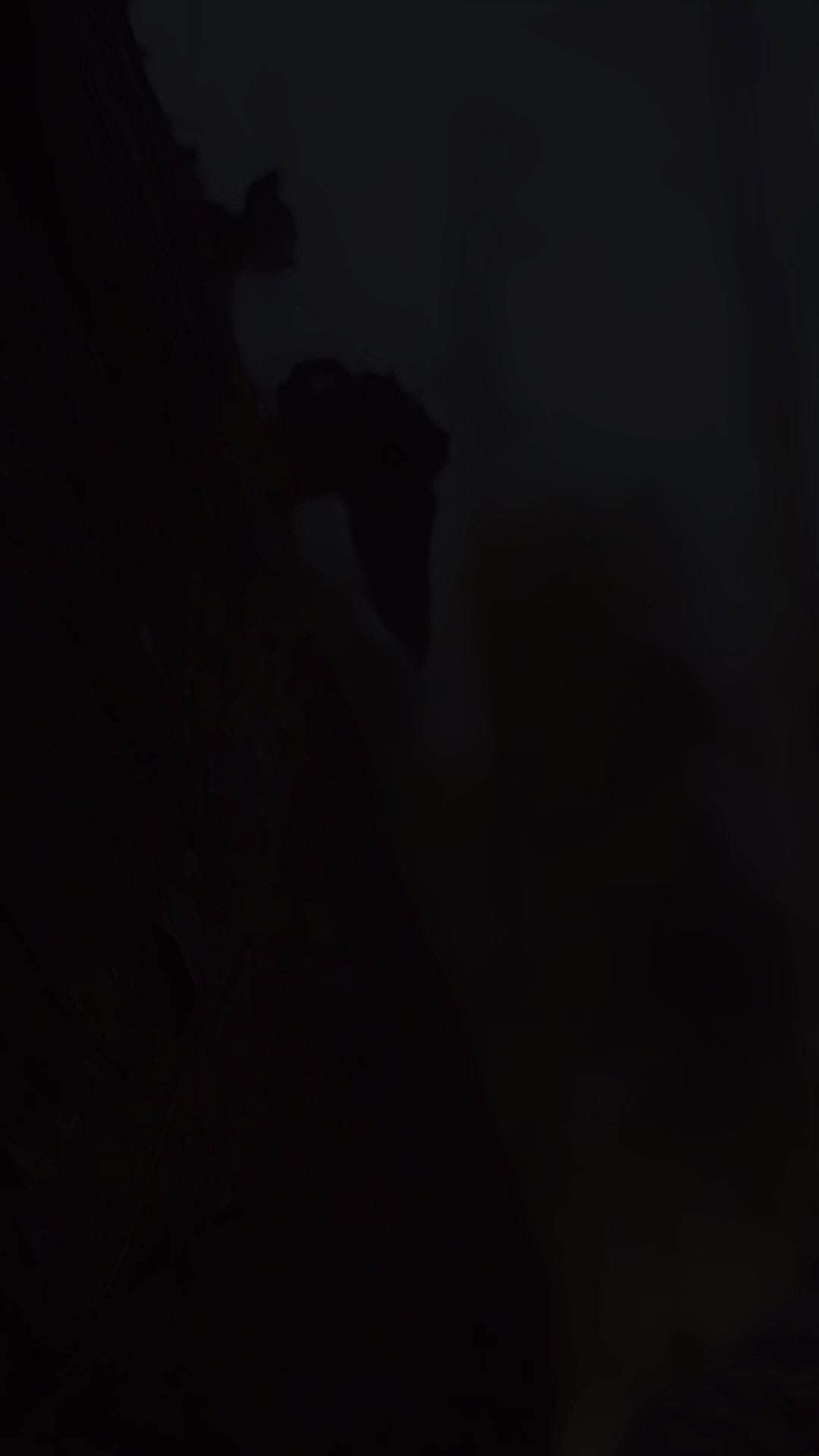 Episode 1 of He's Done Letting Her Go