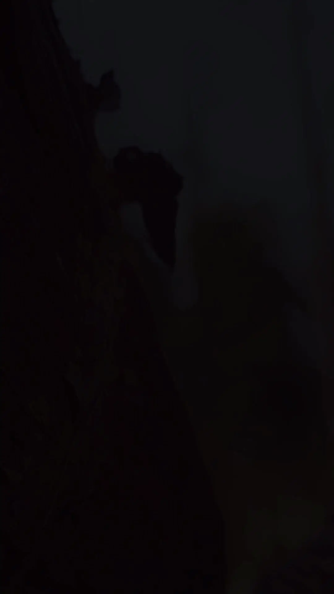 Episode 1 of He's Done Letting Her Go