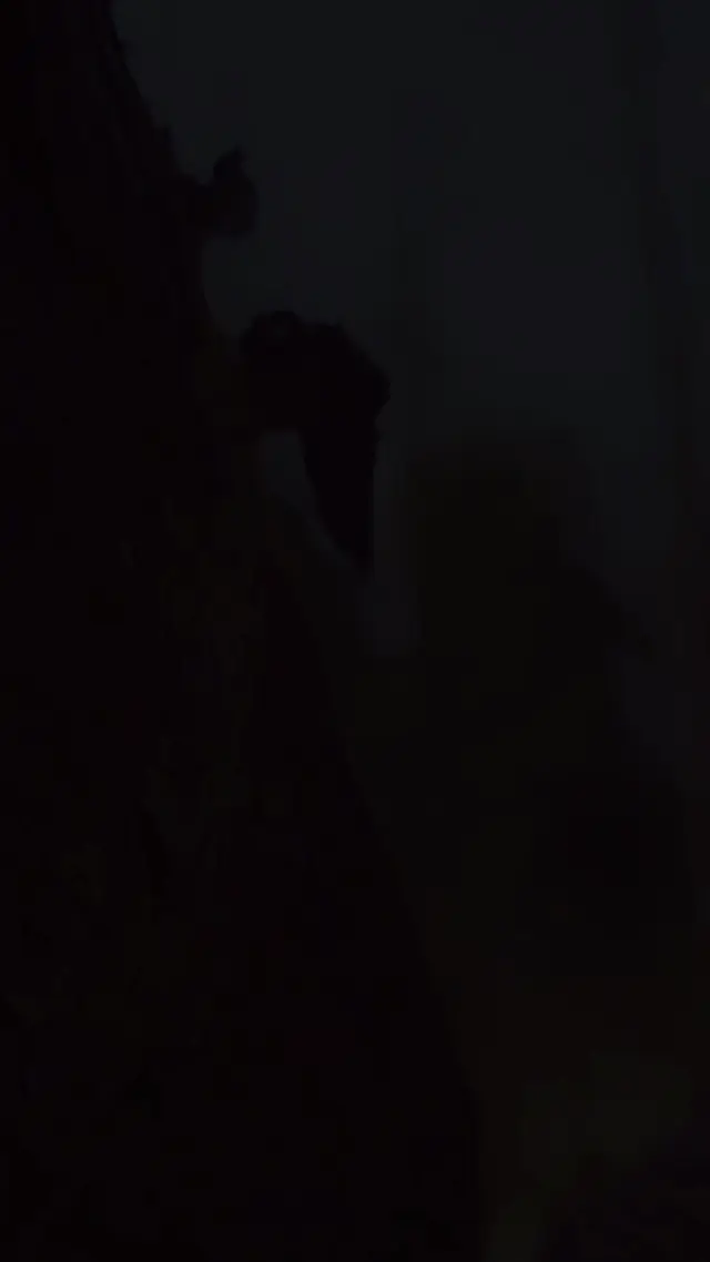 Episode 1 of He's Done Letting Her Go